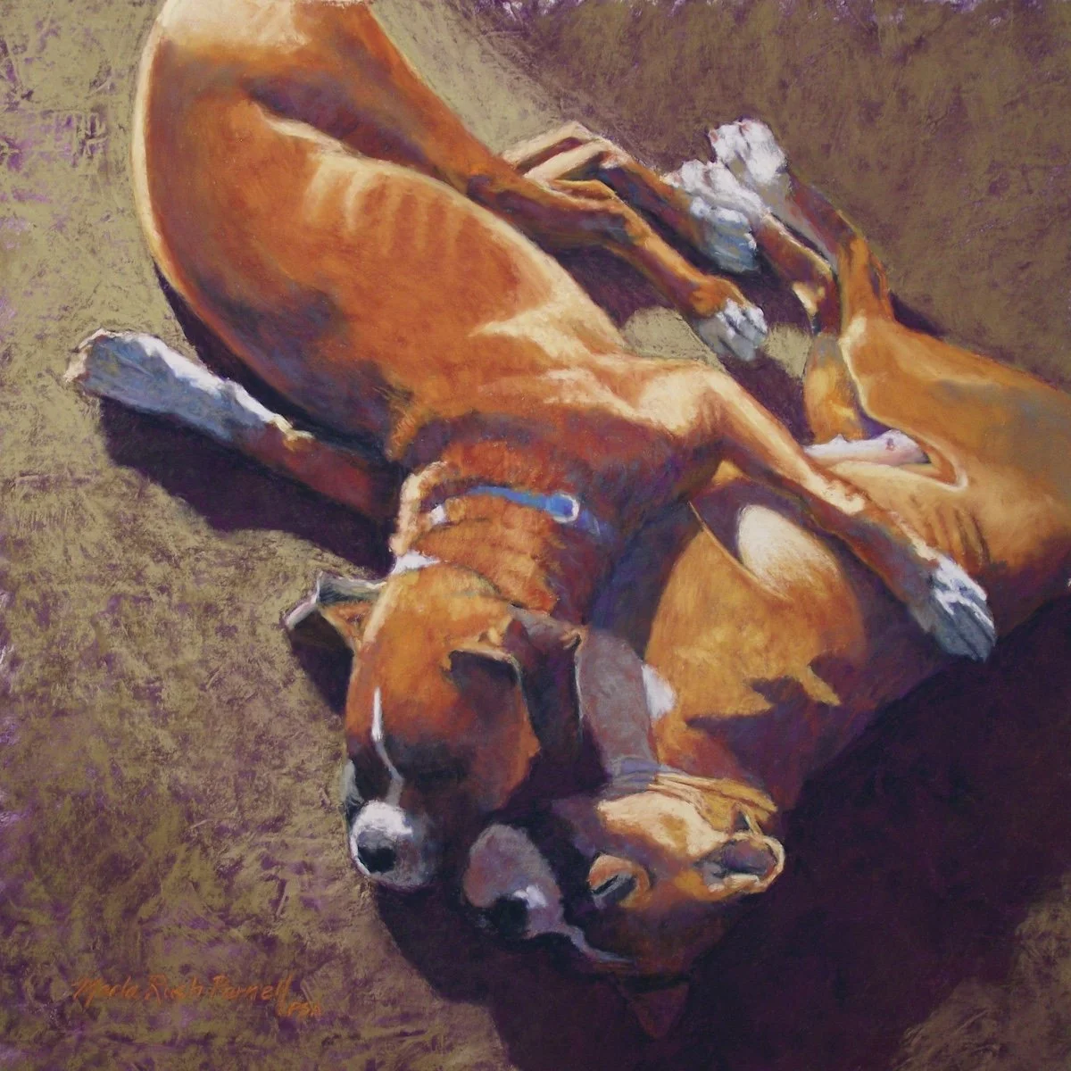 Painting of two Boxer brothers, entwined while napping in a patch of sunlight