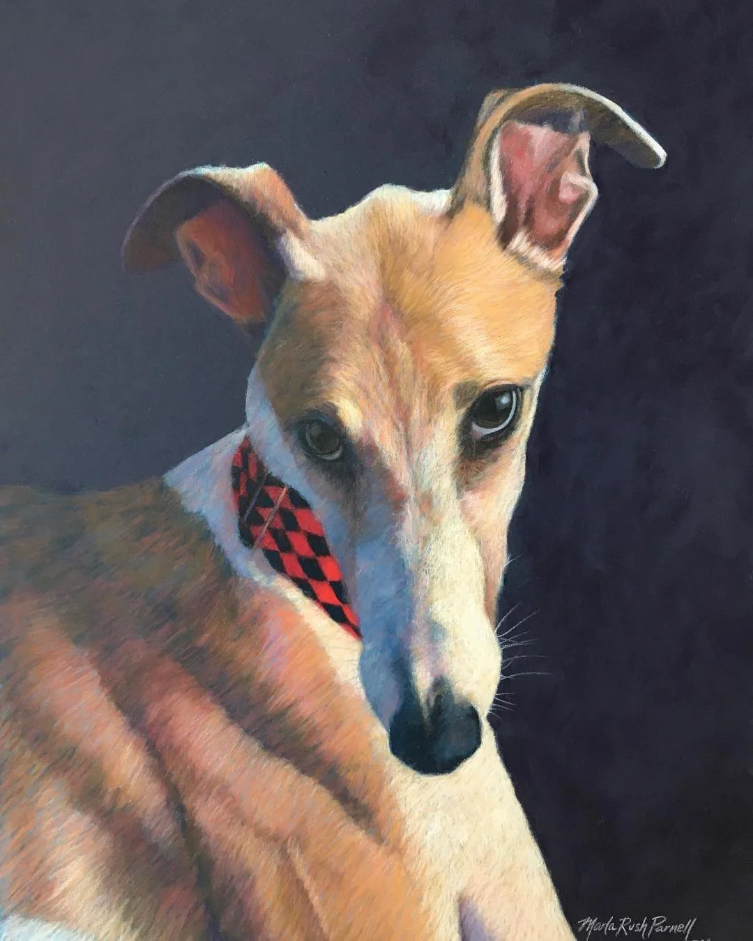 Painting of a tan and white greyhound on a dark background