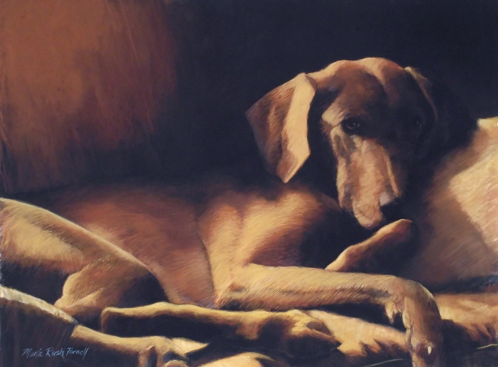 Painting of a brown Weimaraner napping on a brown sofa in dramatic light