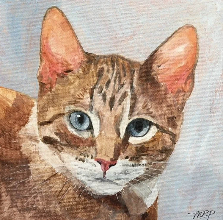 Painting of blue eyed gold cat