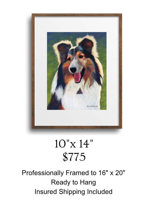 Image of a framed Sheltie portrait to illustrate a 10x14in size.