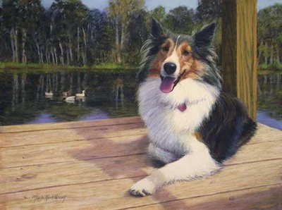 Pastel painting of a smiling Sheltie laying on a dock with a lake and swimming ducks behind her.