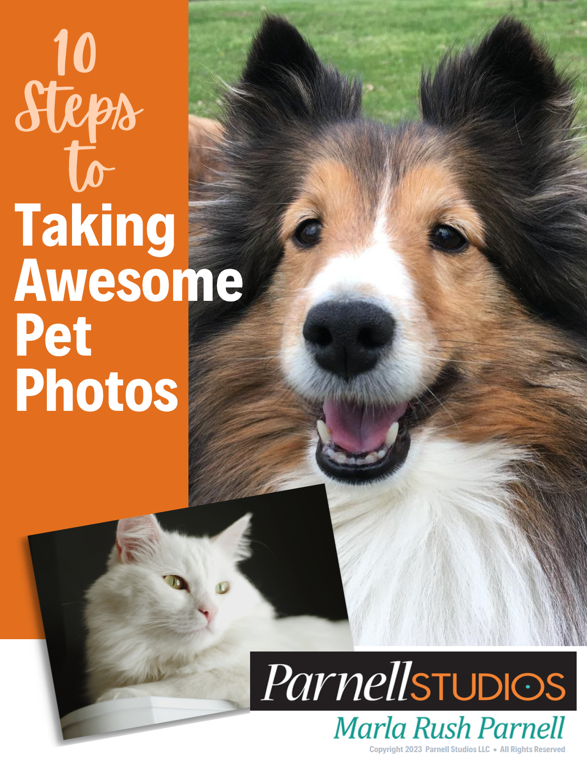 Cover of a book or guide titled '10 Steps to Taking Awesome Pet Photos' featuring a close-up of a happy, fluffy dog and a smaller inset photo of a white cat.