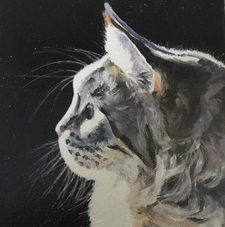 Painting of gray Maine Coon cat in profile on black background.