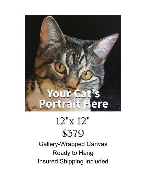 Cat Portrait 12