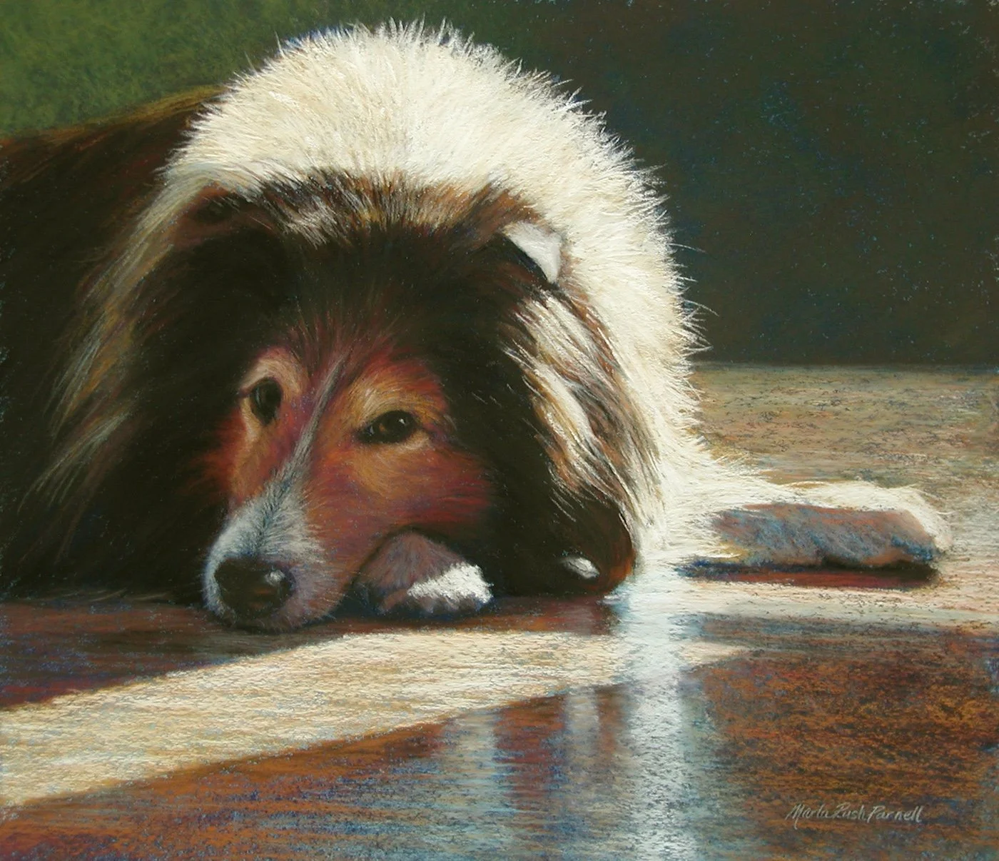 Pastel painting of a senior Sheltie laying on a reflective floor with bright sunlight lighting up her white fur.