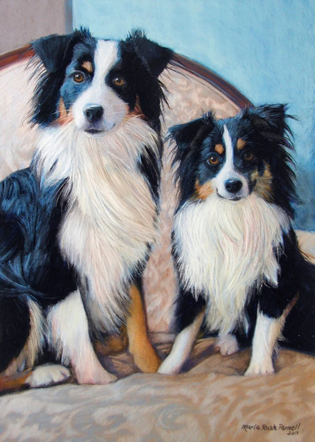 Pastel painting of two Border Collies posed on an upholstered chair