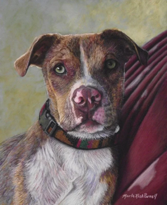 Painting of a brown and white Pitbull leaning against a maroon blanket