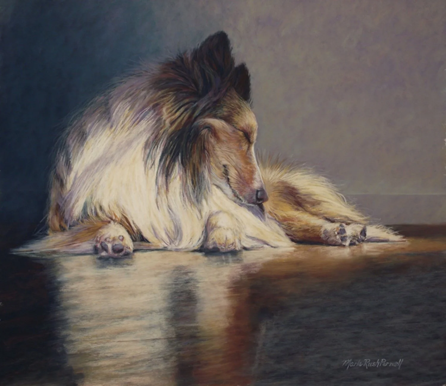 Pastel painting of a sleeping Sheltie with his reflection on the wood floor.
