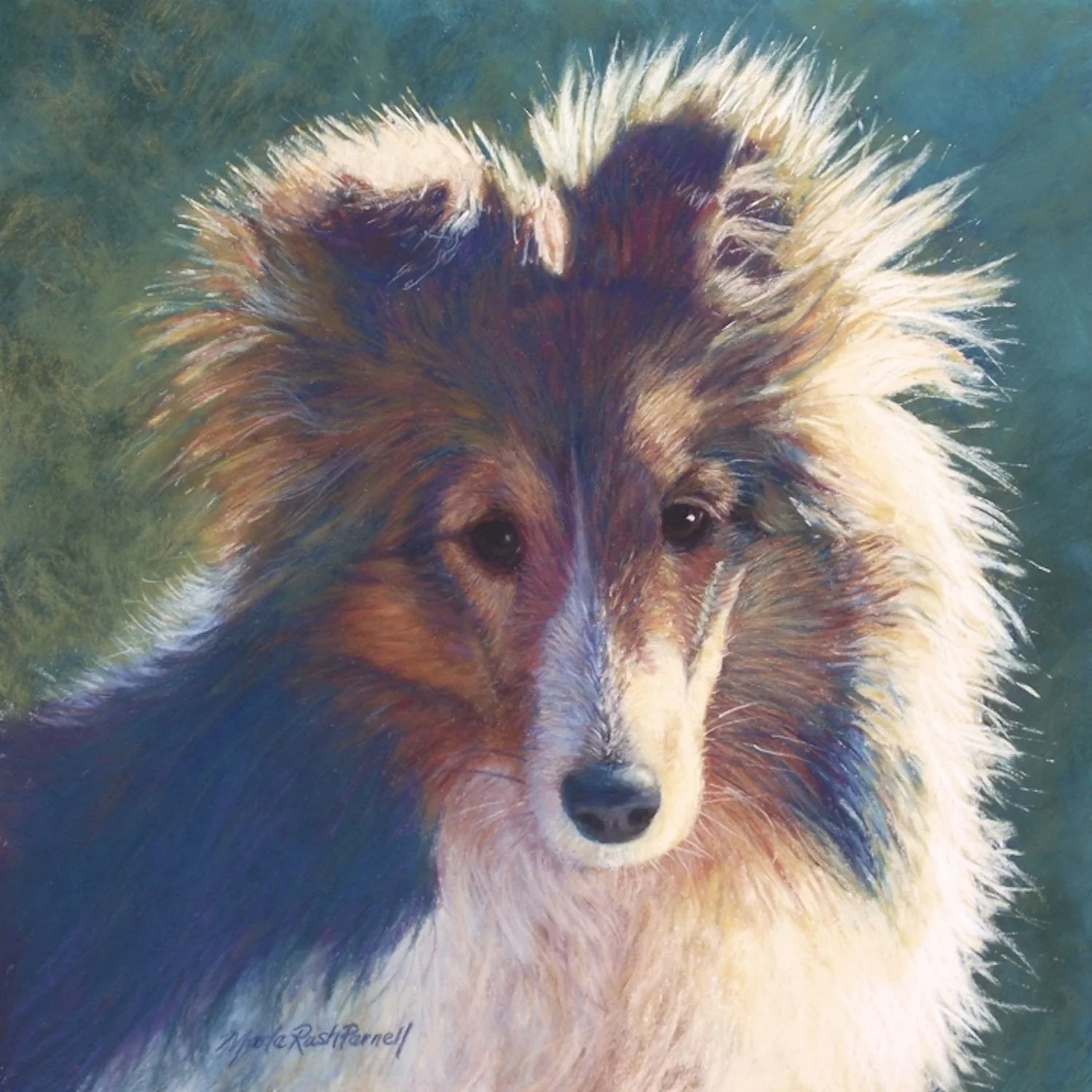Pastel painting of a Sheltie puppy, head and shoulders, against a green background.
