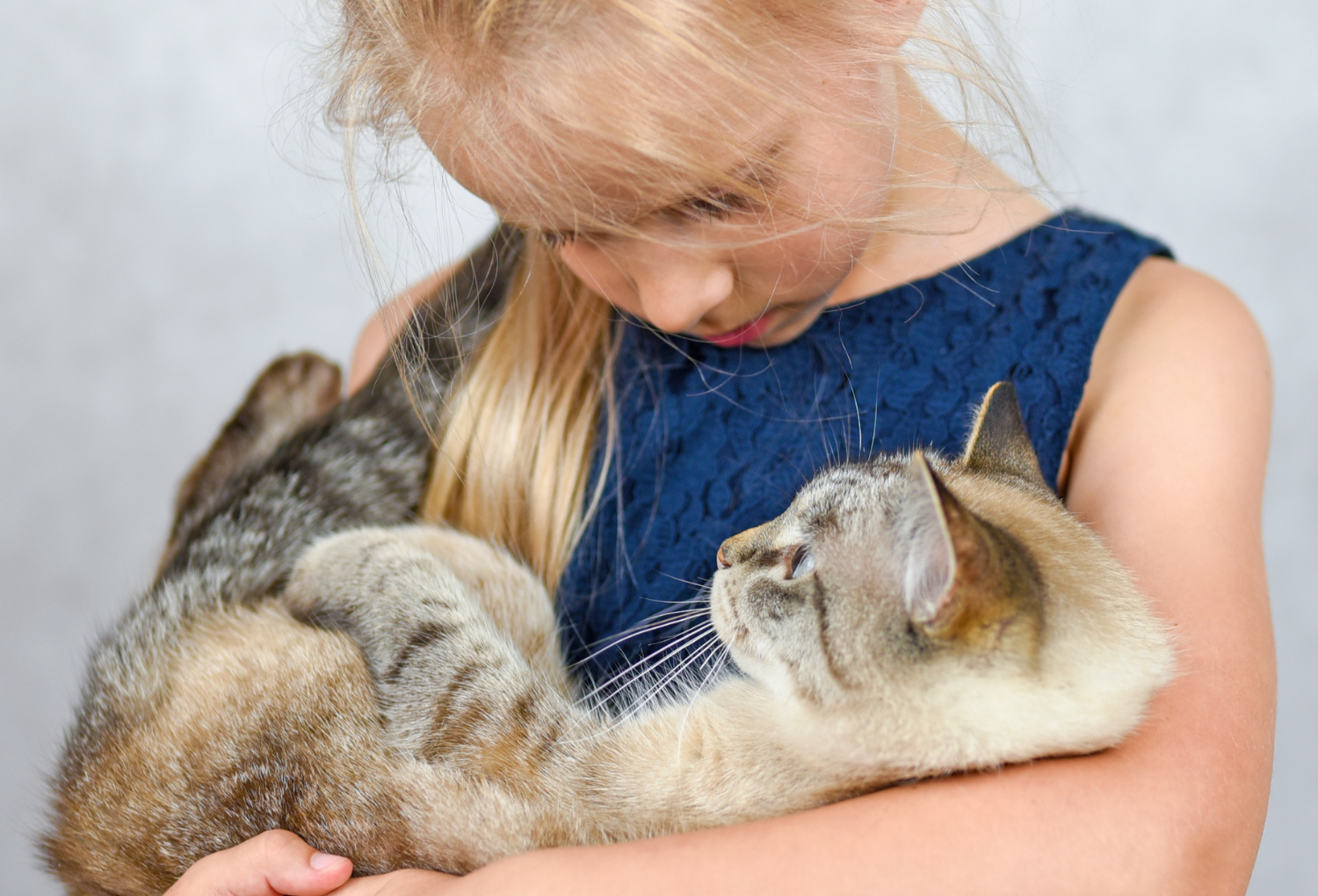 Little girl cradling a cat.