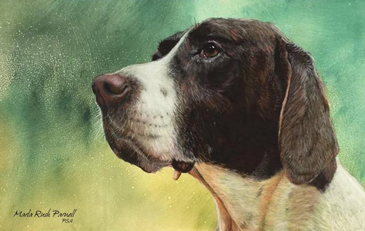 brown-and-white-pointer-dog-on-green-and-gold-background