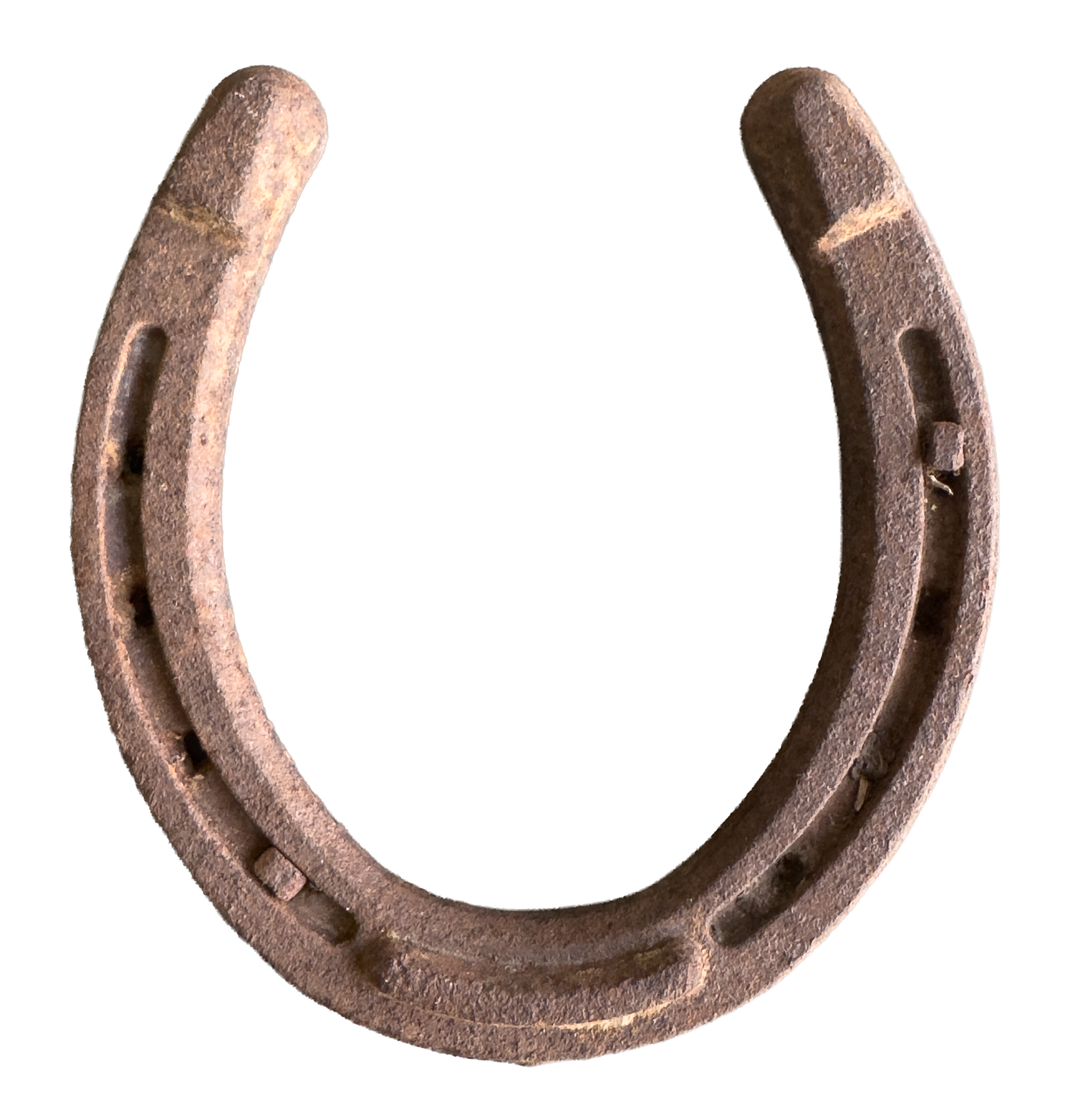 Close-up of a rusty horseshoe.