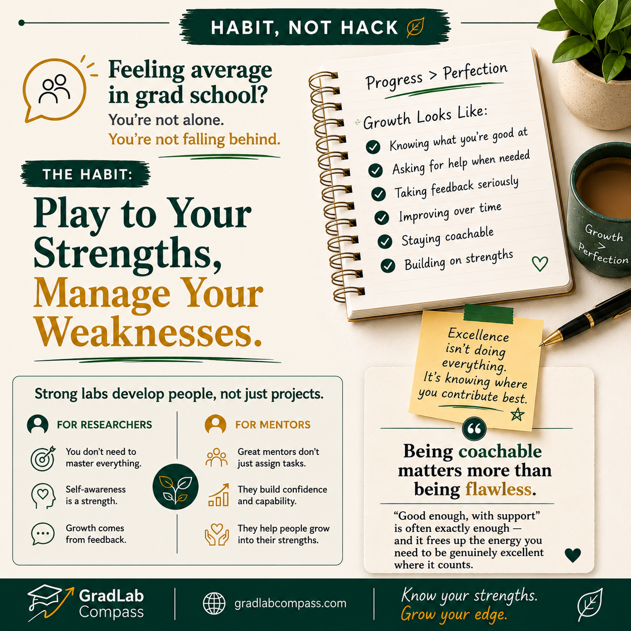 Habit, Not Hack: Nurturing Strengths and Accepting Weaknesses (Mentor)