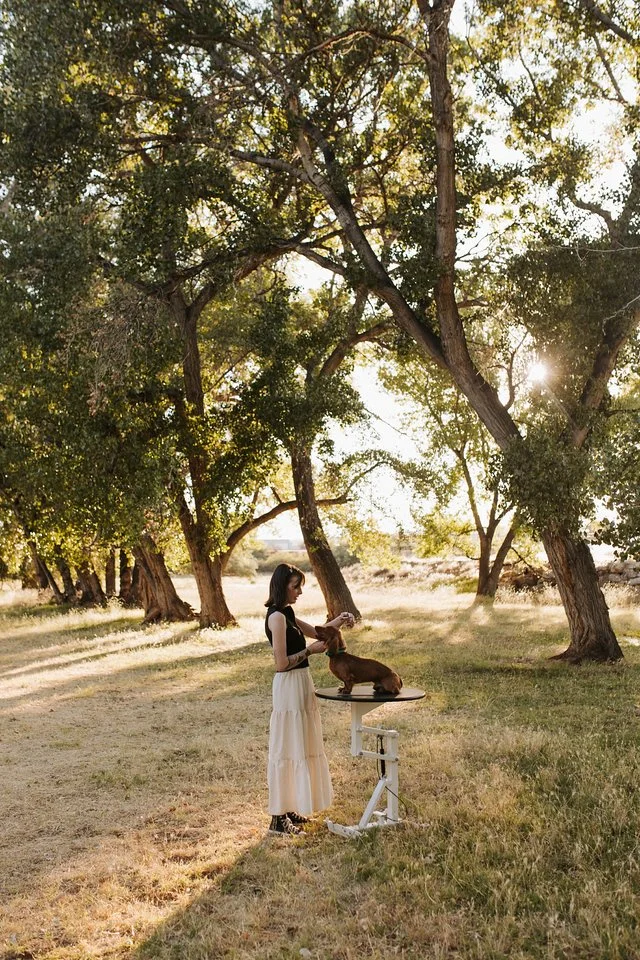 A woman with dark hair in a black top and long white skirt stands outdoors with a small brown dog on a grooming table, surrounded by tall trees in a sunlit park or field.