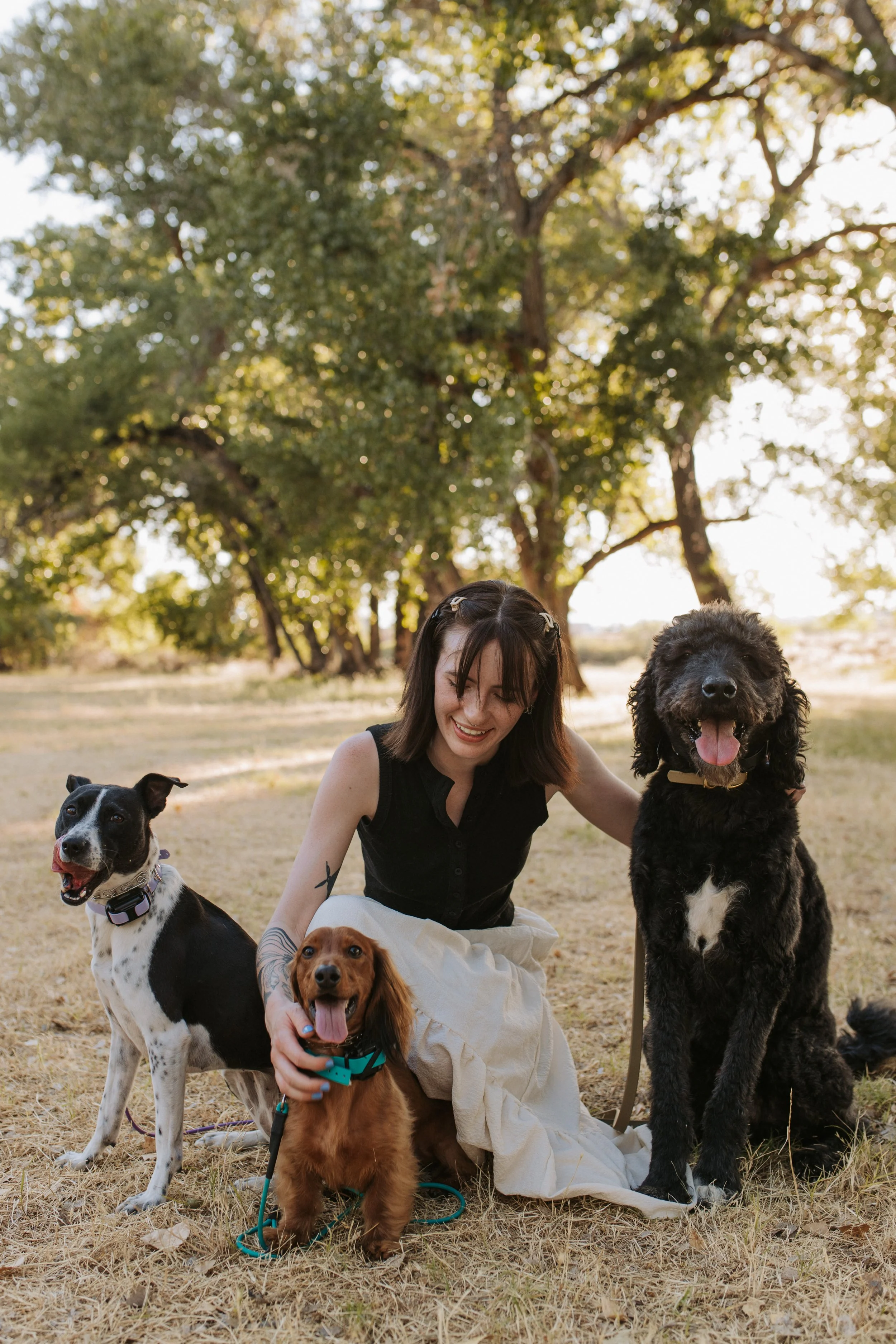A woman smiling with three dogs outdoors in a park with tall trees and sunlight.