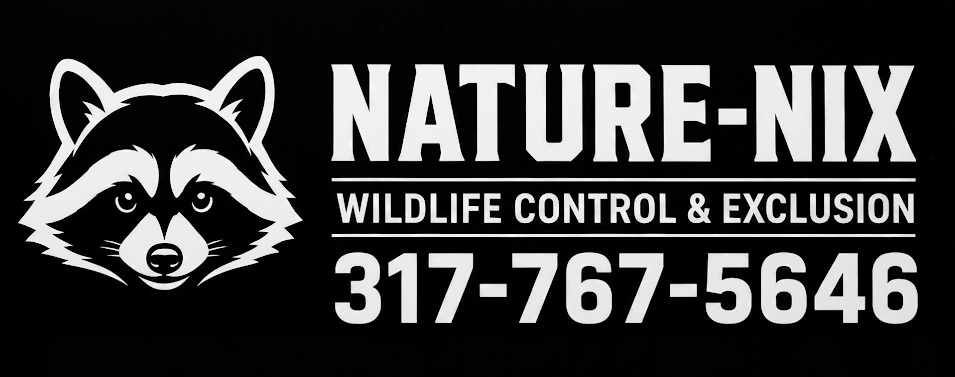 Wildlife control