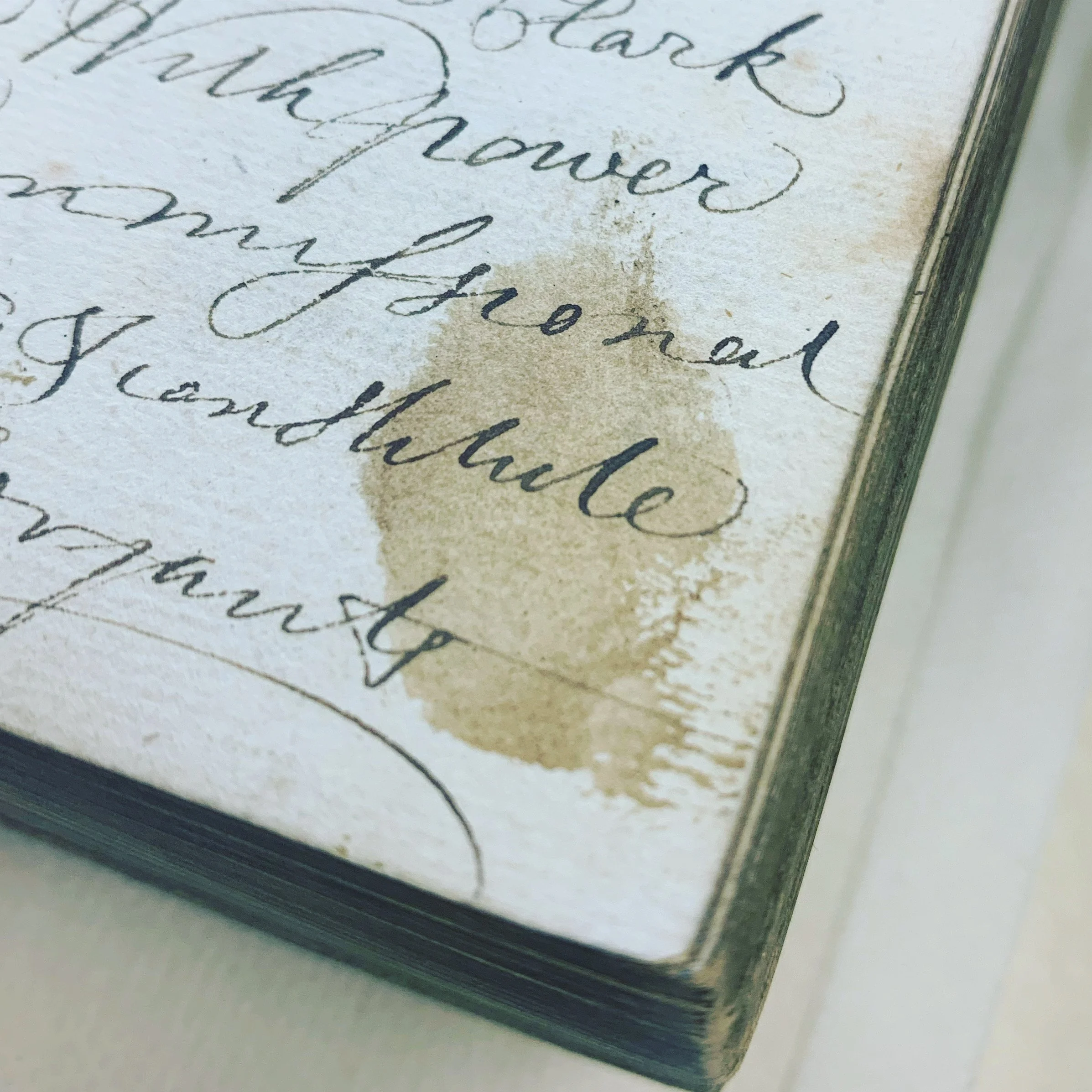Inky fingerprint smudged on an old manuscript book archival consultant historian author Laura Doak New Zealand palaeography history exciting material culture past blog