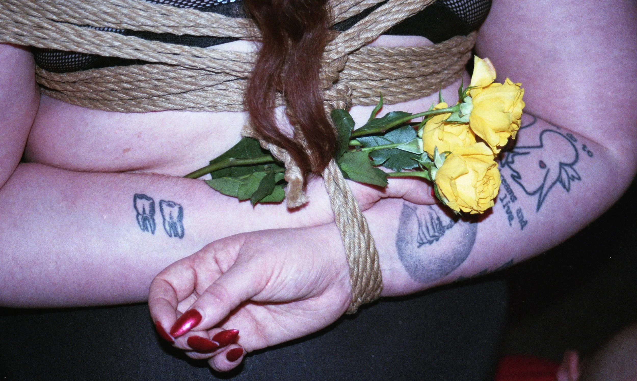img220.jpg