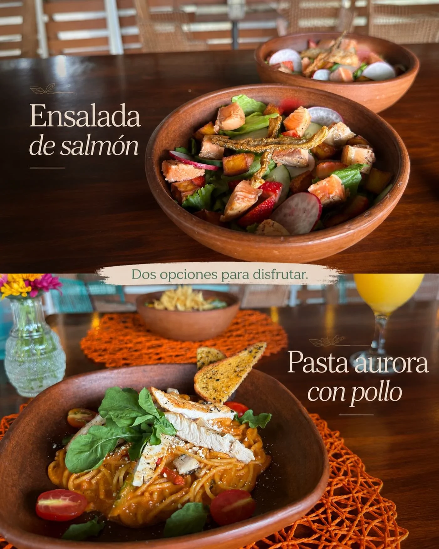 Dos opciones para disfrutar en NutriTierra.

Una ensalada de salm&oacute;n, fresca, colorida y llena de sabor.
Y una pasta aurora con pollo, cremosa, suave y perfecta para quienes quieren algo m&aacute;s reconfortante.

Platos ricos, sencillos y hech