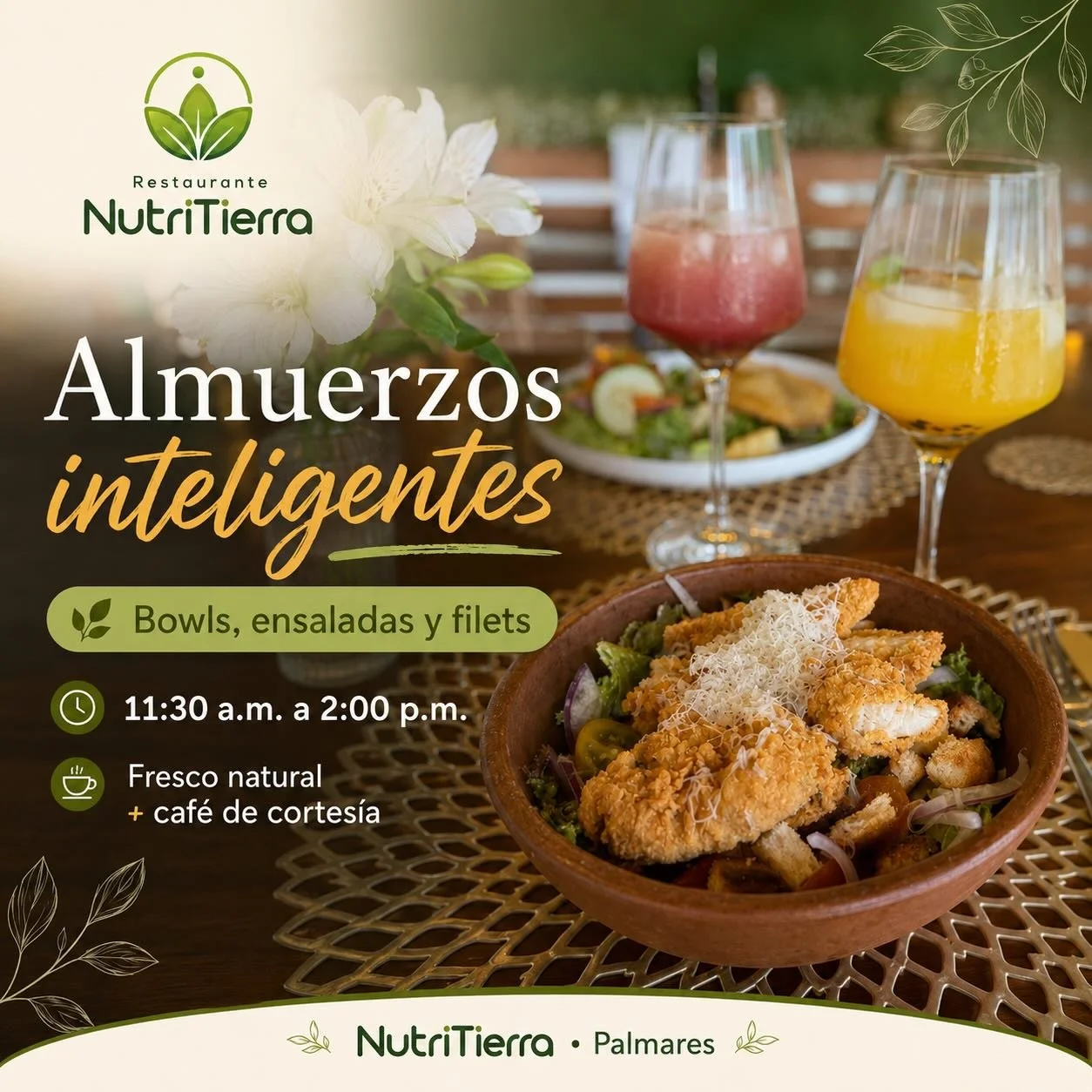 Tu pausa del d&iacute;a tambi&eacute;n puede ser una buena decisi&oacute;n. ✨

De 11:30 a.m. a 2:00 p.m., en NutriTierra encontr&aacute; una selecci&oacute;n de bowls, ensaladas y filetes, ideal para quienes buscan comer bien, mantenerse ligeros y se