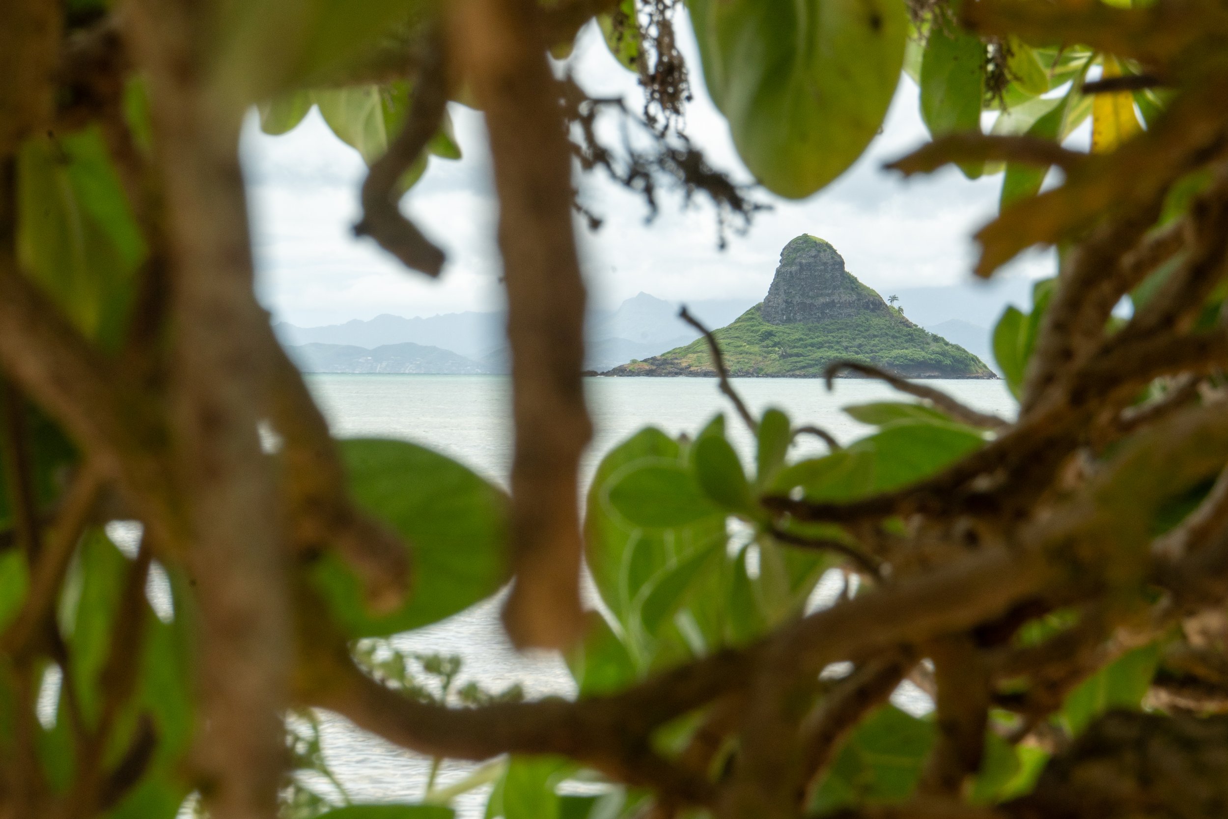 Hawaii_2026-7.jpg