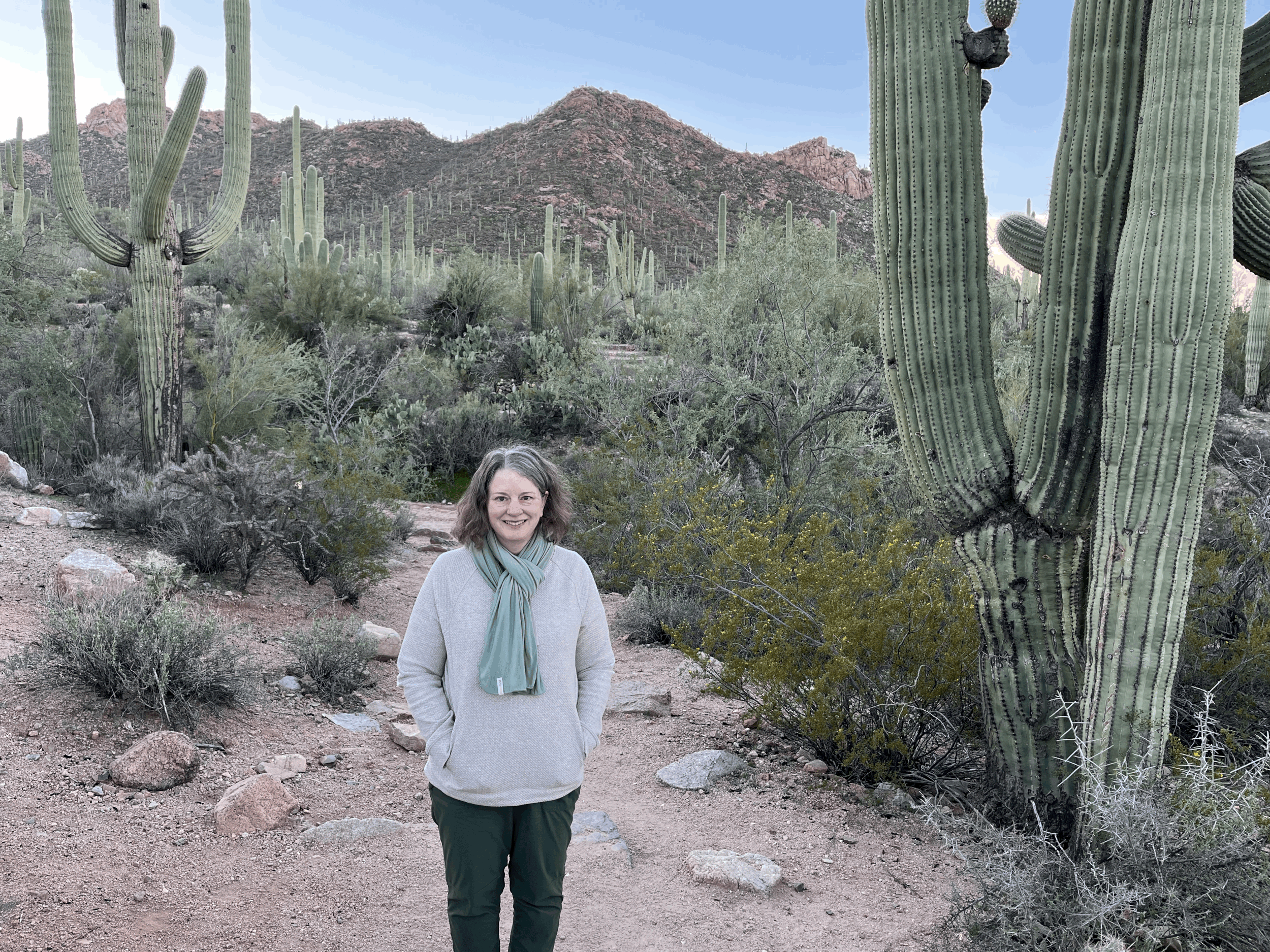 Falling in Love with the Sonoran Desert