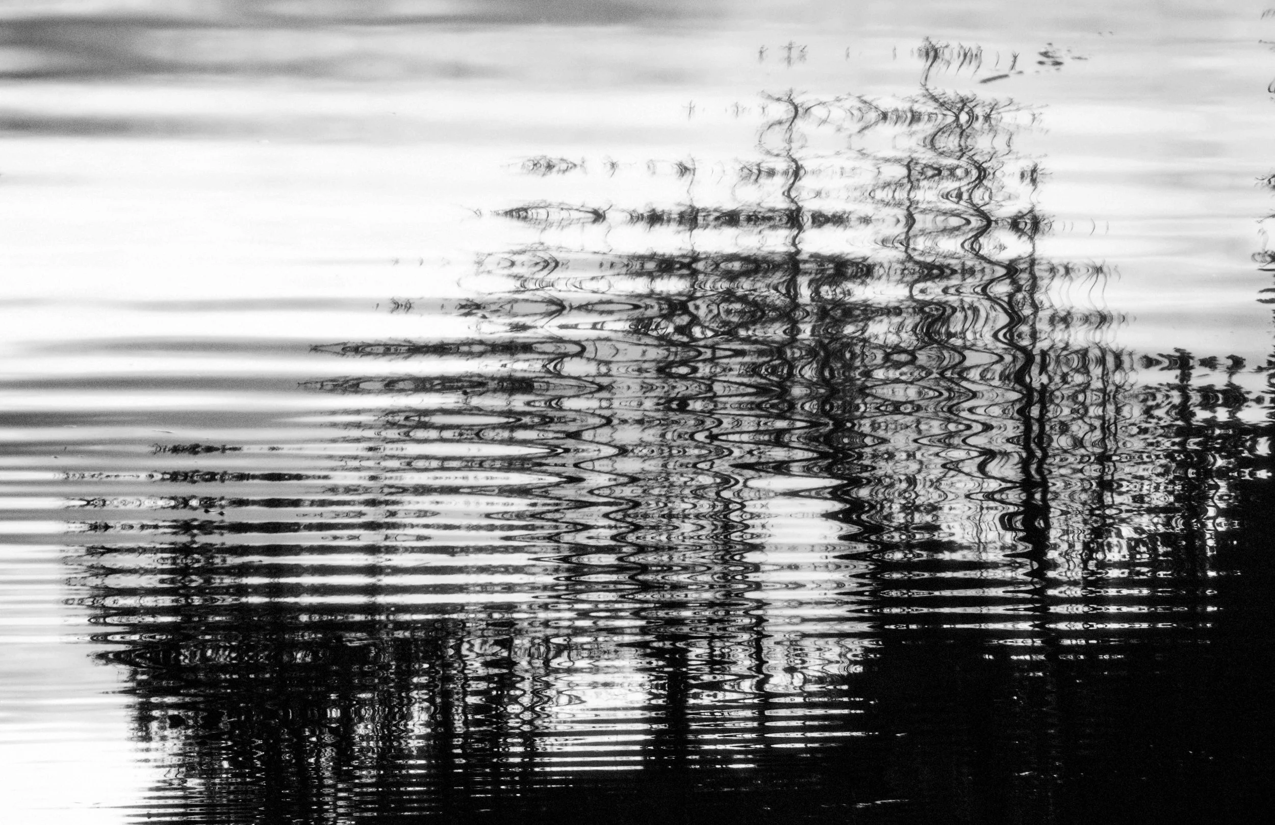 Sonic Lab SORI Shoonyaland Ontological Research Institute. Sound as architecture. Frequency as pressure. Resonance as proof. Axiom. Sound is examined pressure, carrier wave, rhythm, field response, rupture, return, conductance. Instrument