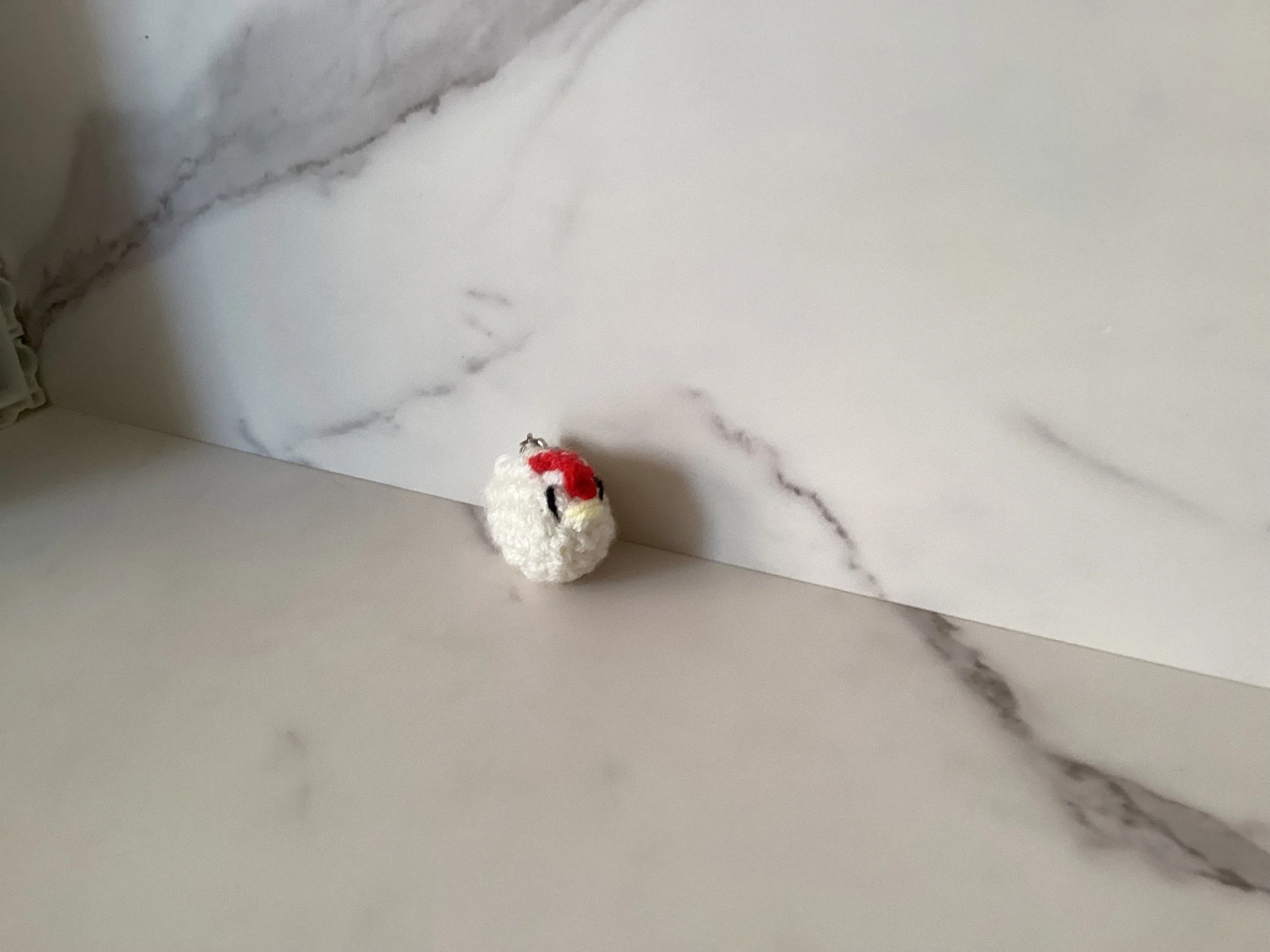 IMG_2446.jpeg