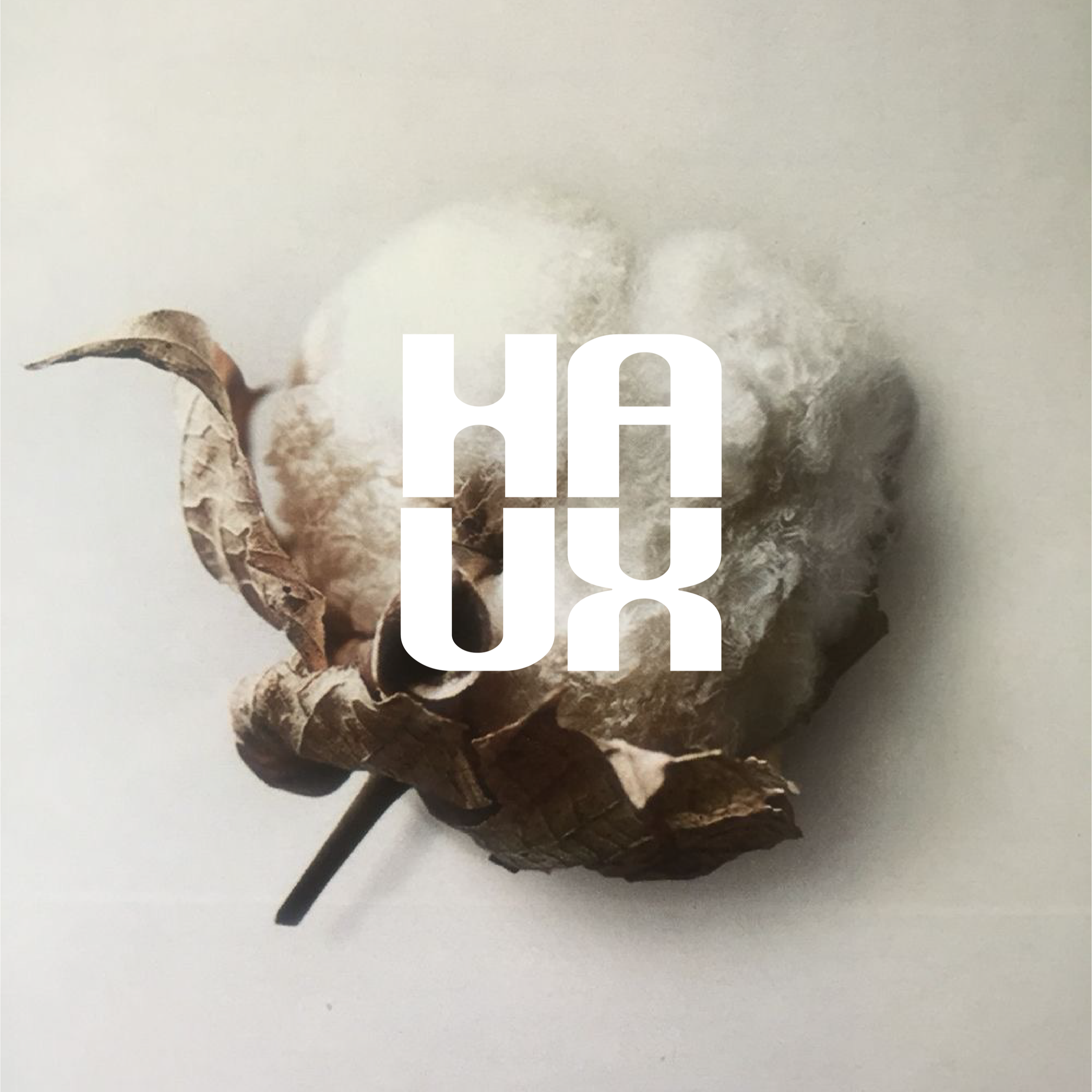 REGENERATIVE COTTON: FASHION'S MOST IMPORTANT FIBRE?