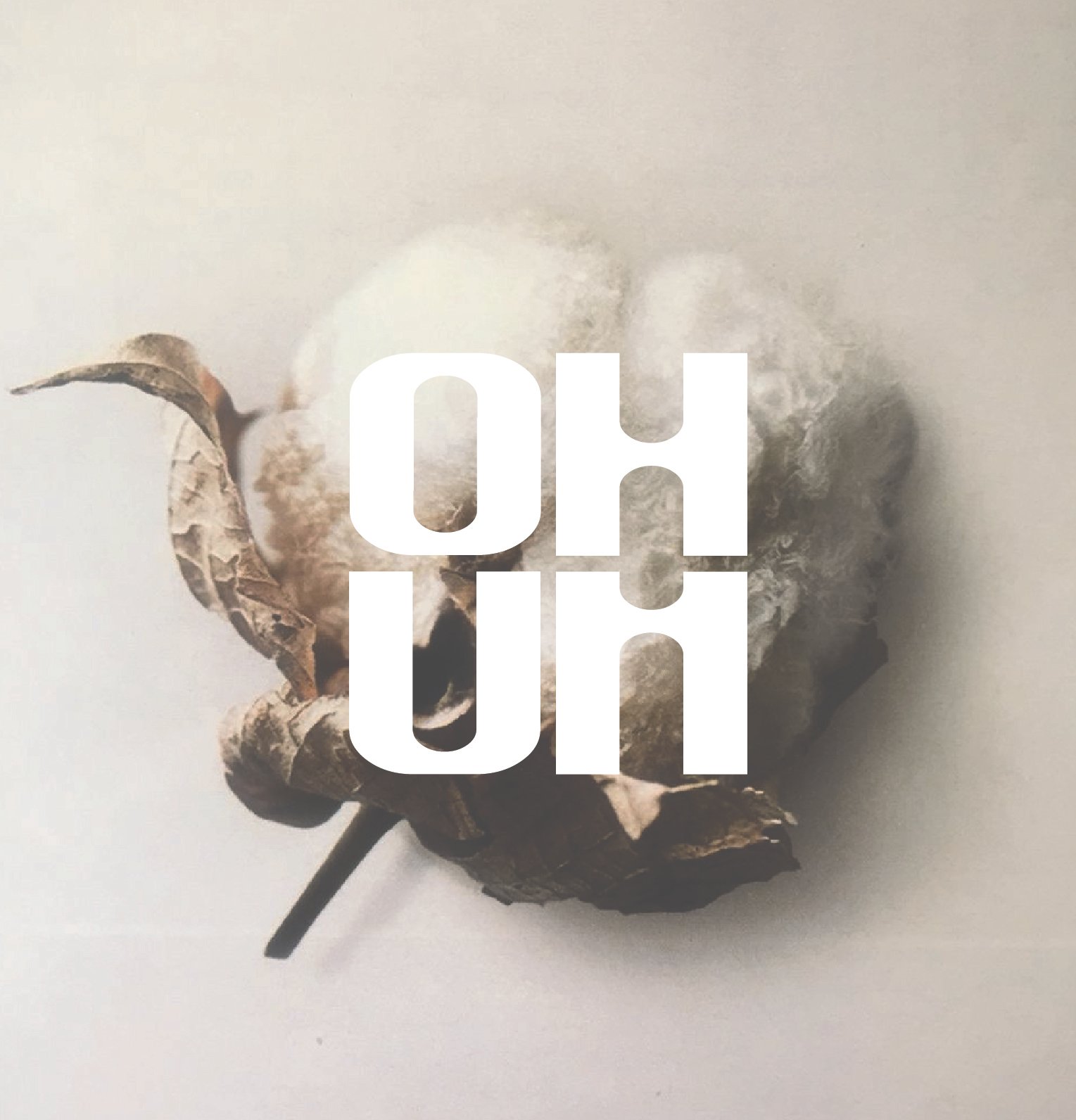 A dried, twisted cotton plant with the words "OHUM" overlaid in bold white text.