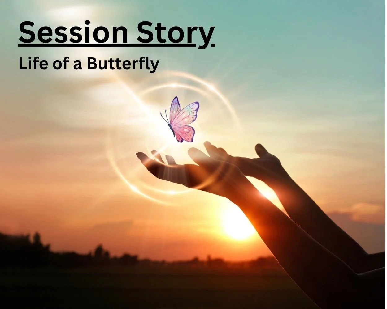 Session Story: Life of a Butterfly