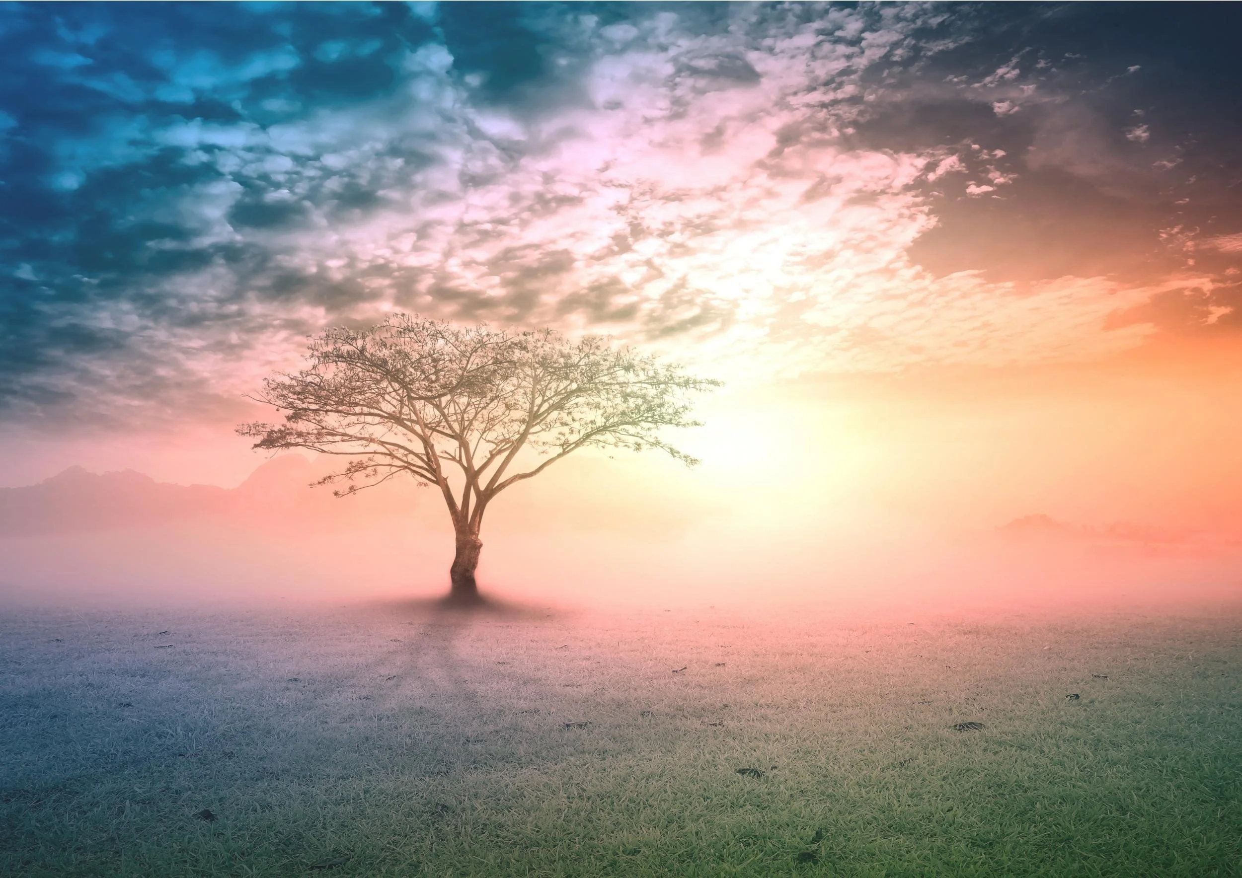 dreamlike tree scene - infinite soul