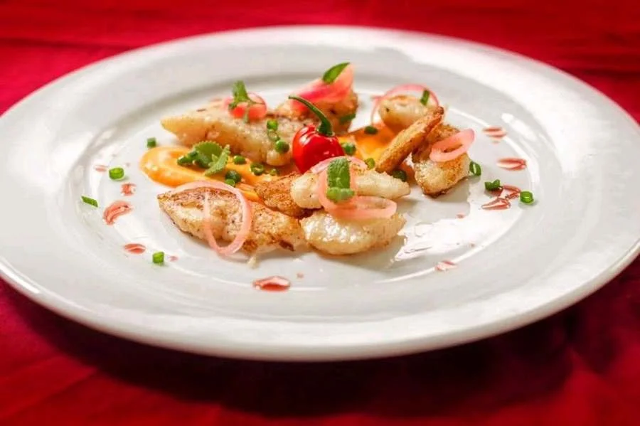 A seared starter with pickled onions and a colourful sauce.