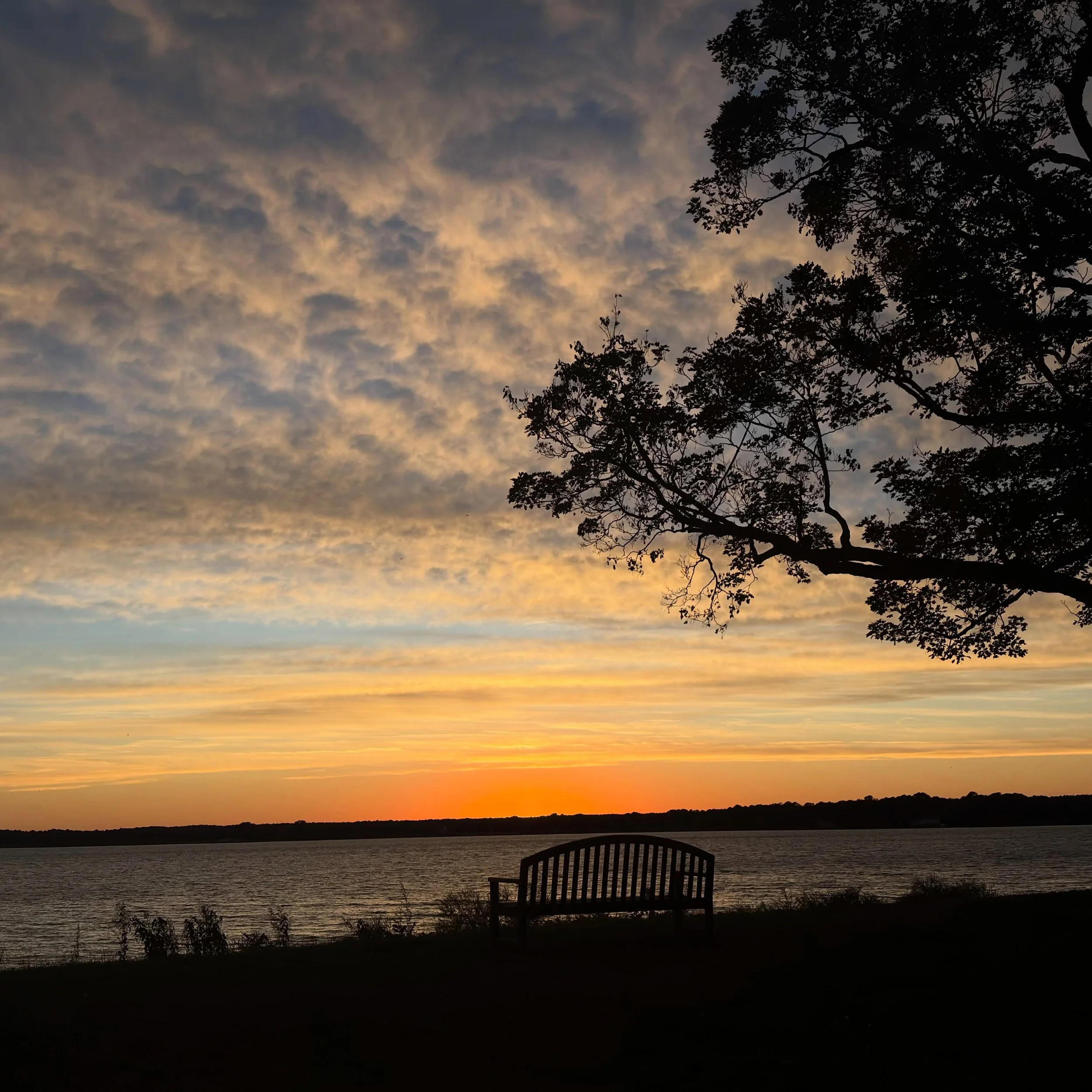 Beautiful ballade while exploring Oxford, MD. Scouting for cute places for a family portrait photo shoot. Any suggestions?

Muy lindo paseo explorando Oxford, MD. Buscando lugares cute para una sesi&oacute;n de retratos familiares. &iquest;Sugerencia
