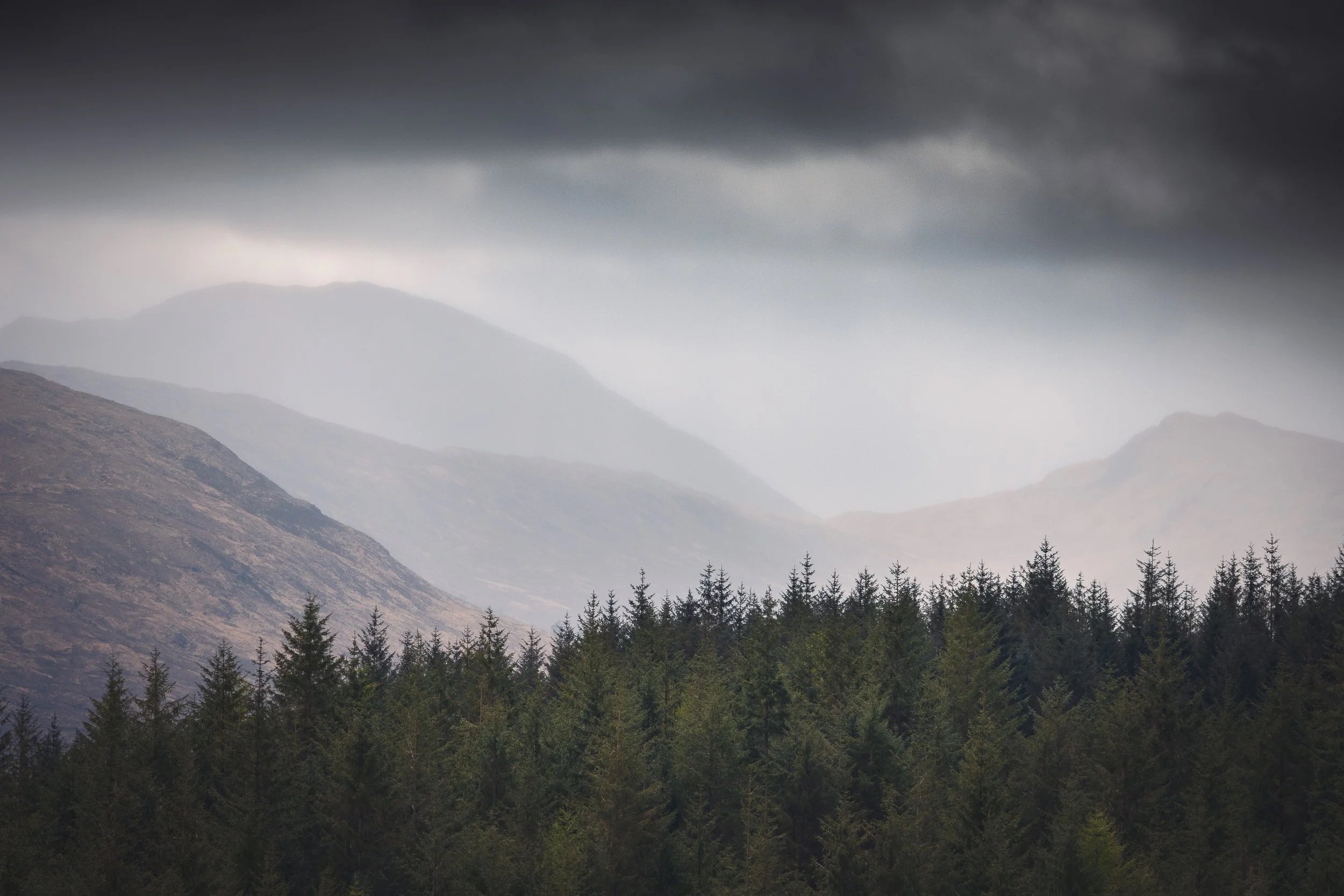 Snow-capped mountains under dark, cloudy sky with a forest of pine trees in the foreground.