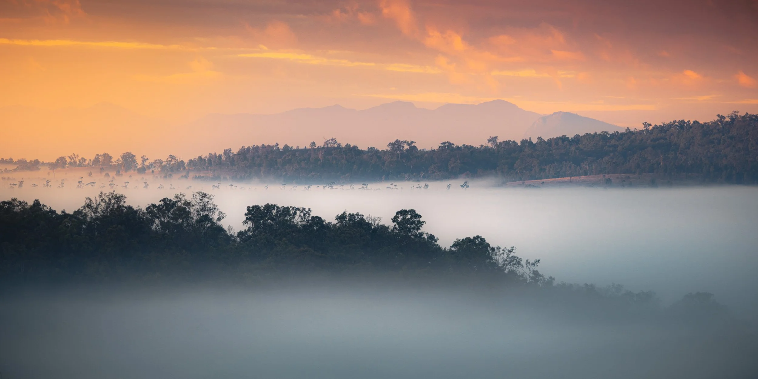 Mountains with peaks in the background during sunrise, with layers of trees and fog in the foreground creating a misty landscape.