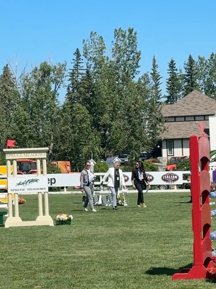 This week @hgrayton watched the show from a different perspective! Thank you @conniedorsch @lcdenyer and @spruce_meadows for the opportunity to learn and continue down the road to becoming a EC judge! 
.
#sojudgy