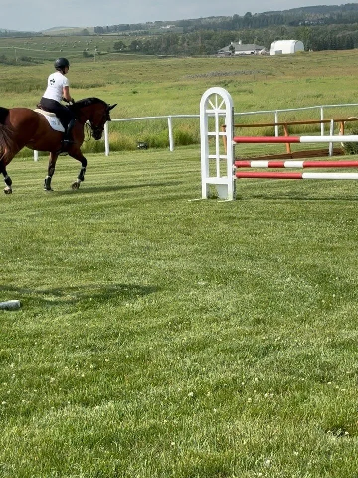 Instagram vs true life - swipe to see the fix
.
I just want to post this to be fair to all young horse trainers. It doesn&rsquo;t always go perfectly.
.
Reveille boldly jumped up the step the first time, however it was a bit awkward, she didn&rsquo;t