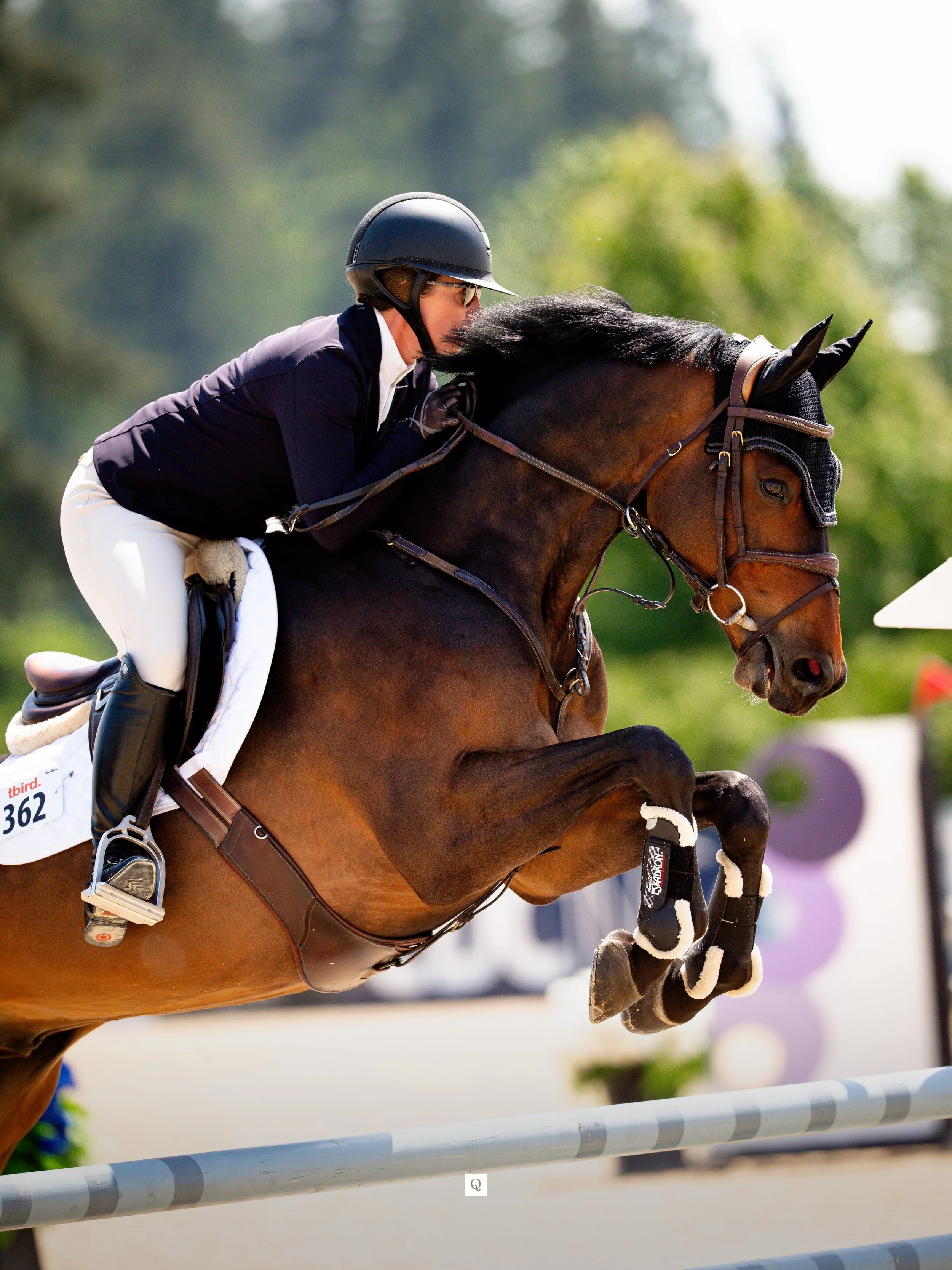 We are so thrilled to be partnered with @peak_equestrian stirrups. 
.
⭐️Made right here in Calgary! 
.
⭐️ Angled foot bed for a more comfortable and stable leg!
.
📸 @quinnsaundersmedia