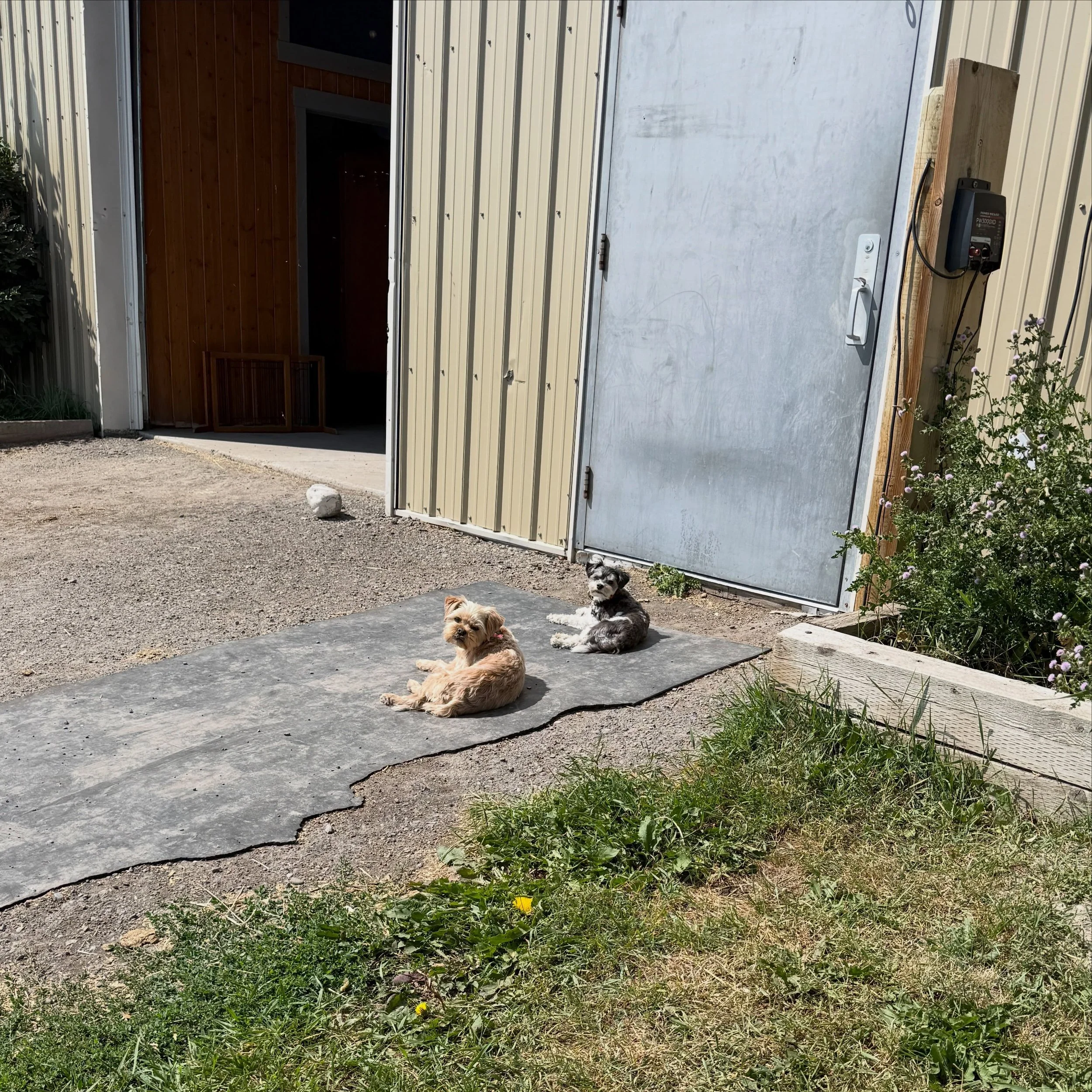 Just chilln&rsquo;