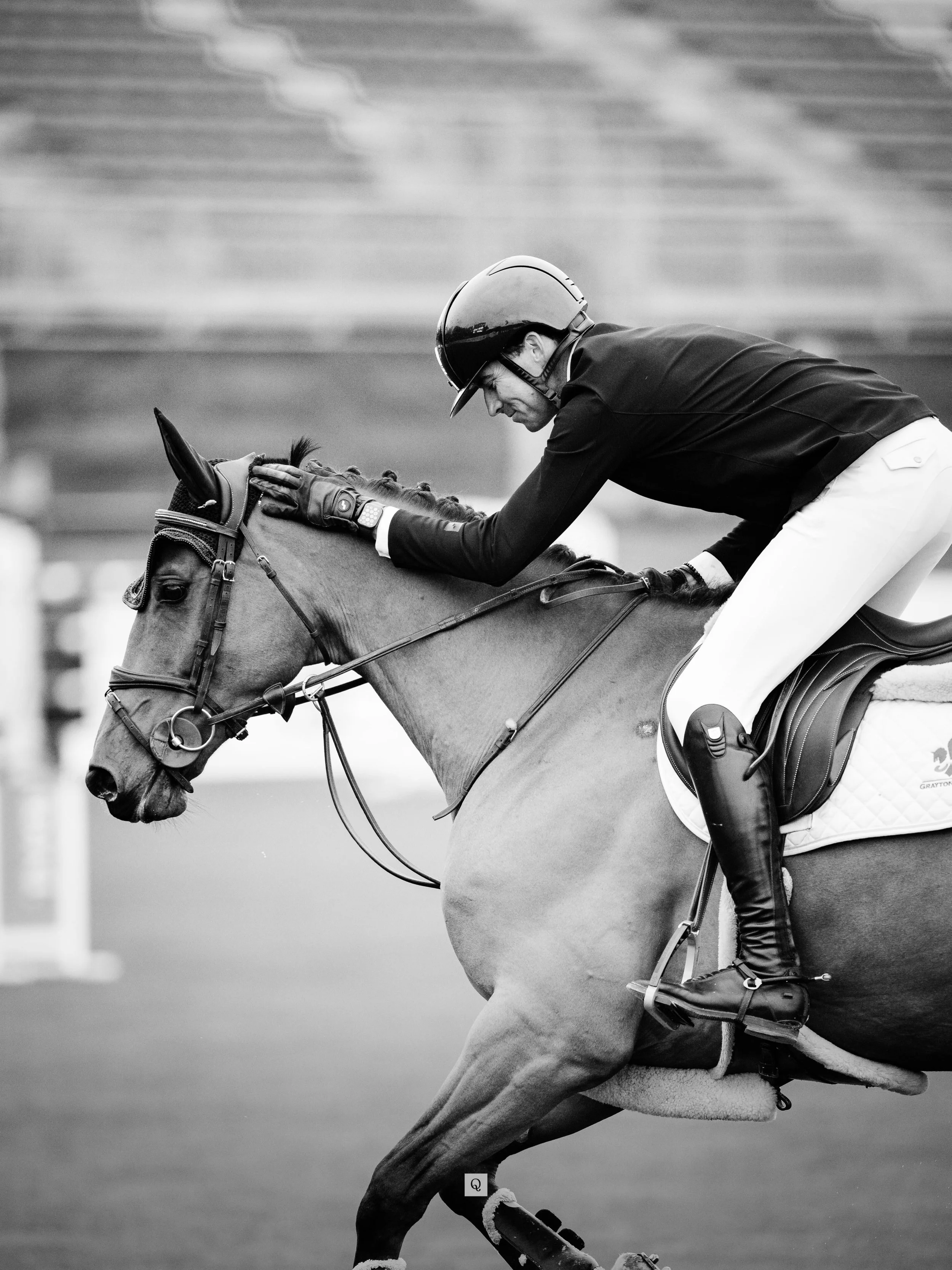 A very exciting new chapter for Je T&rsquo;aime! ❤️
.
We&rsquo;re so happy to have found this lovely horse a wonderful new partner in Lizzie. It has been such a pleasure to be part of Je T&rsquo;aime&rsquo;s development, and we&rsquo;re incredibly ex