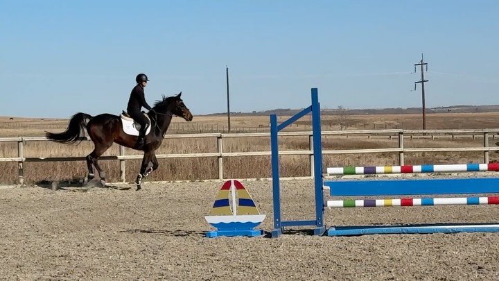 After some very serious flat work training the last month Pompeii was excited to get back to the fun of jumping!
.
Thermal 🔜
