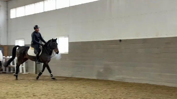 Getting bored or riding inside already? Answer: style competition! 
.
How it works: throw down some poles and small jumps. First person decides and rides a course, everyone copies, self decide who did it best! 
.
The next person picks a course and re