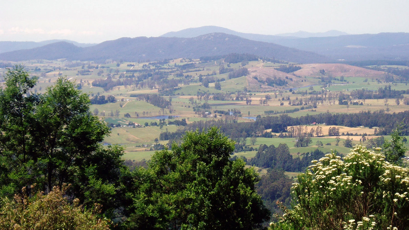 Near_Scottsdale,_Tasmania_-_panoramio.jpg