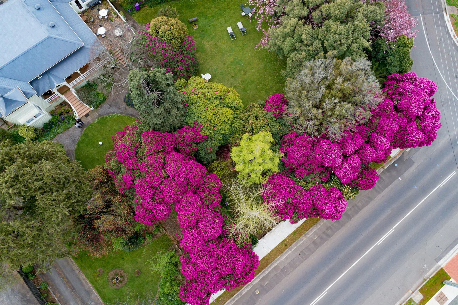 DJI_0038.jpg