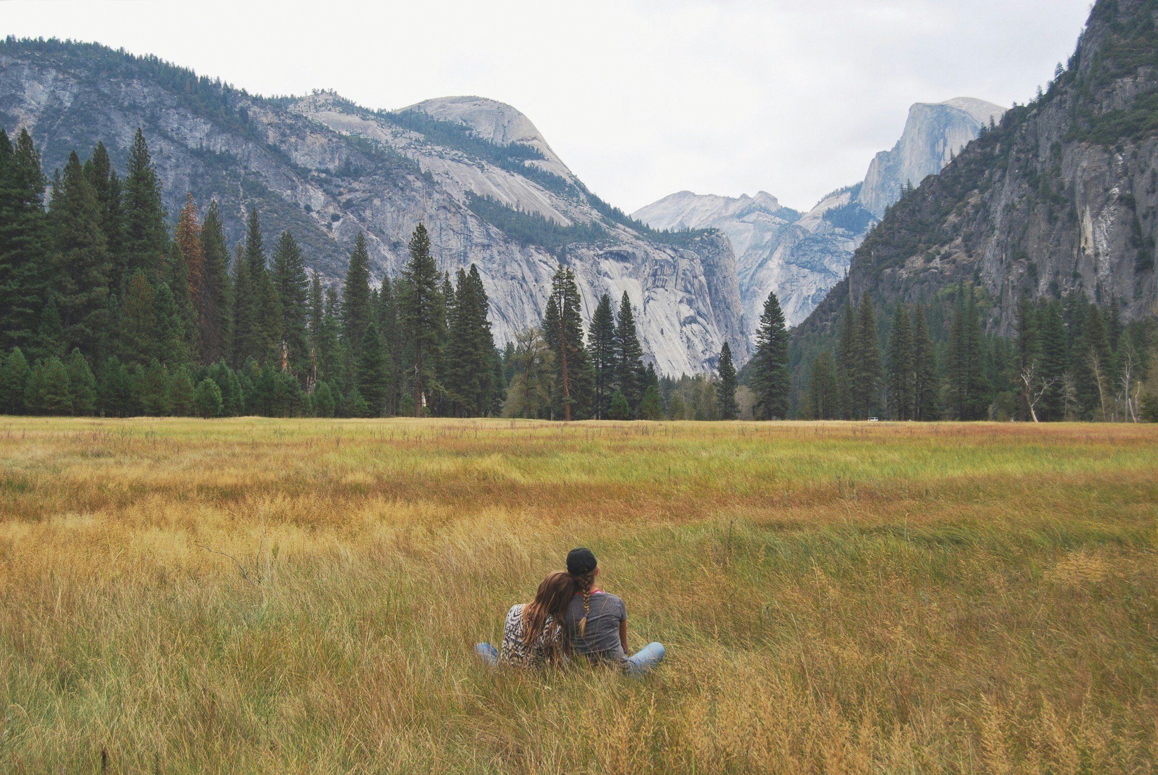 People sitting in a grassy field looking towards mountains and trees in the distance.