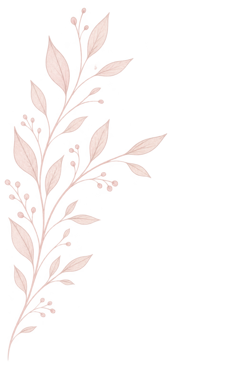 Light pink watercolor-style illustration of a floral branch with elongated leaves and small round berries.