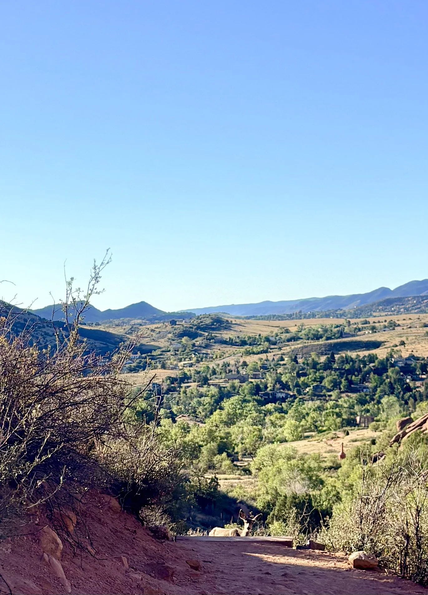 A mountain landscape with a dirt trail in the foreground, sparse trees on both sides, and rolling hills with mountains in the distance under a bright blue sky.