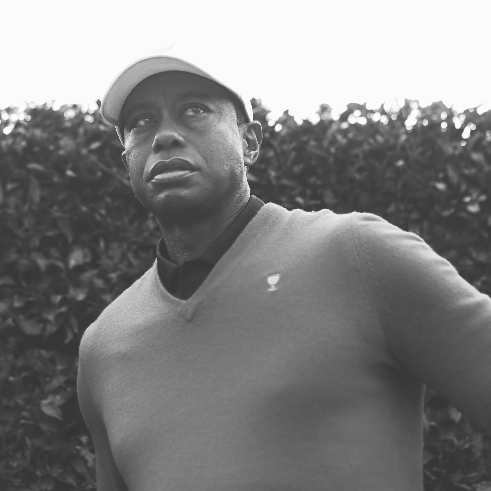 A portrait of Tiger Woods